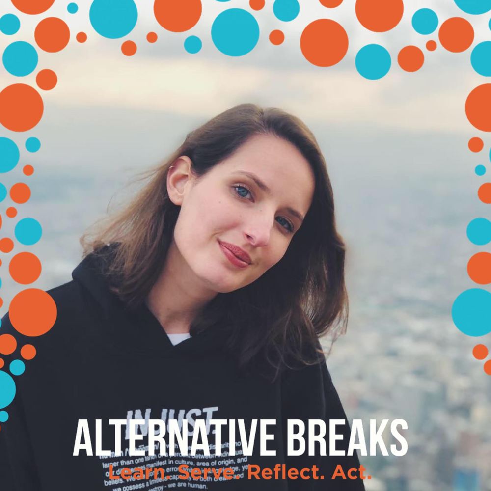 Meet your Posher, Lilli